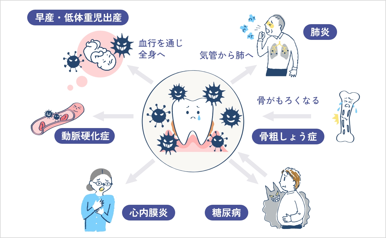 全身の健康維持につながる