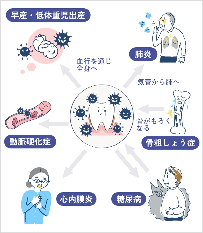 全身の健康維持につながる